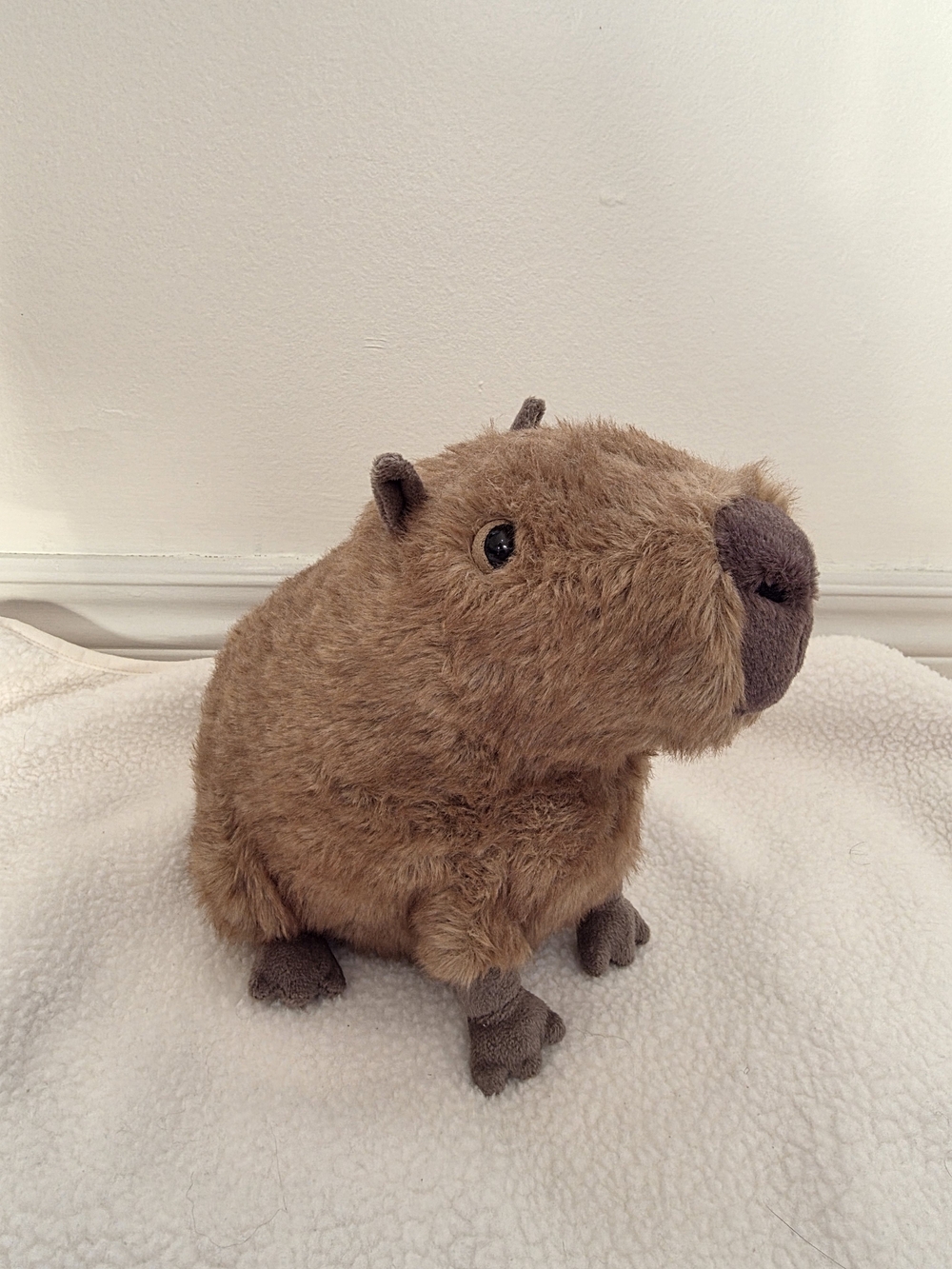 Jellycat Clyde Capybara NWT, Brand New With Tags